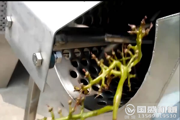 葡萄除梗破碎机孔径